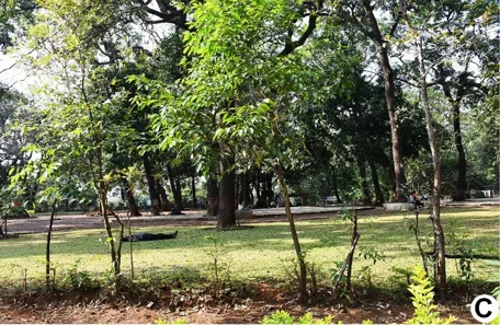 Garden paths, grass and mature trees in Ryewood Park, Lonavala.